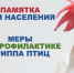О мерах по профилактике гриппа птиц. - Красноармейский район